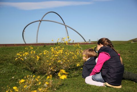 Wildkräuterführung für Familien